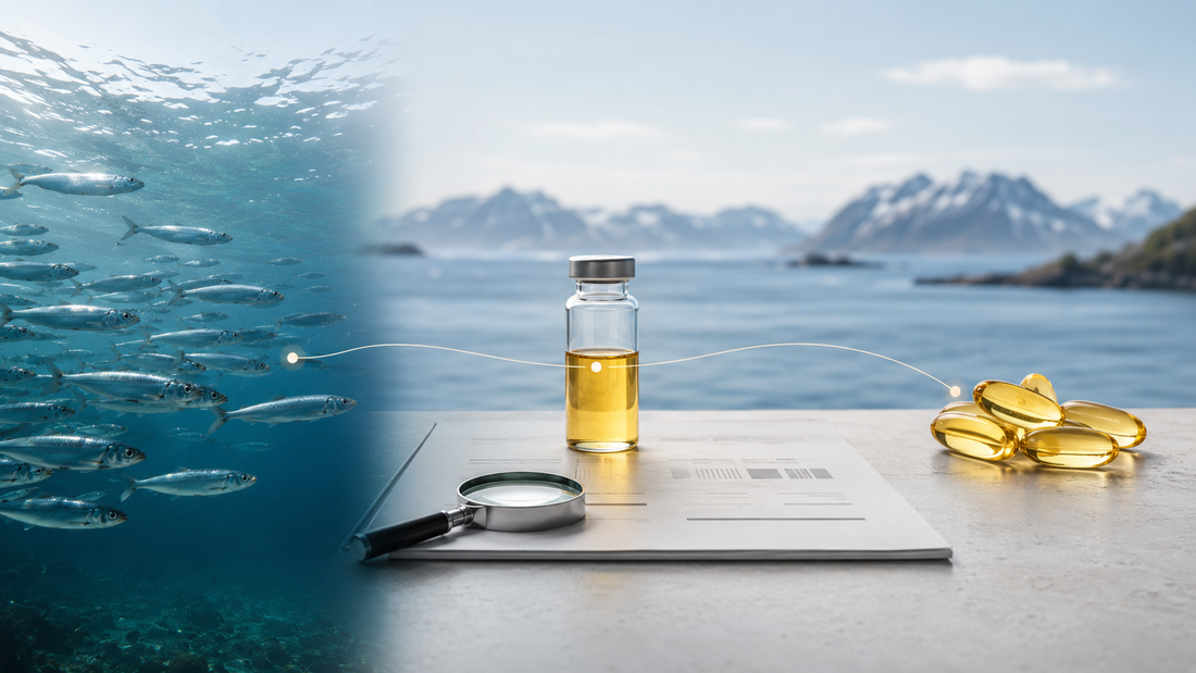 Fisk, dokumentasjon og omega-3-kapsler som illustrerer sporbarhet fra råvare til ferdig produkt